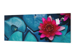 Design glass backsplash - Tempered Glass BBS29 splashback w/wo magnetic properties : Nature Series : Pink lotus flower