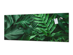 Design glass backsplash - Tempered Glass BBS29 splashback w/wo magnetic properties : Nature Series : Dark tropical nature