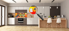 Stunning glass wall art - Wide format kitchen backsplash BBS32 w/wo magnetic properties : Animals series : Colourful owl