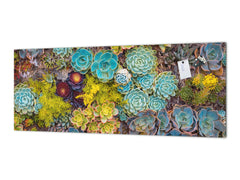 Design glass backsplash - Tempered Glass BBS29 splashback w/wo magnetic properties : Nature Series : Rock garden 1