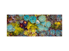 Design glass backsplash - Tempered Glass BBS29 splashback w/wo magnetic properties : Nature Series : Rock garden 1