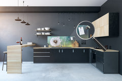 Design glass backsplash - Tempered Glass BBS29 splashback w/wo magnetic properties : Nature Series : Dandelion