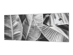 Design glass backsplash - Tempered Glass BBS29 splashback w/wo magnetic properties : Nature Series : Black and white banana leaves