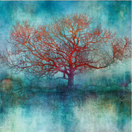 Special order for Gordon: Key Organizer Cabinet