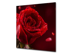 Stylish Tempered glass backsplash – Glass kitchen splashback – Glass upstand NBS14: Nature Series : Romantic red rose