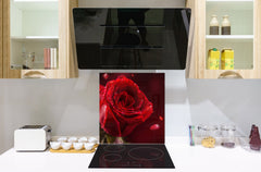 Stylish Tempered glass backsplash – Glass kitchen splashback – Glass upstand NBS14: Nature Series : Romantic red rose