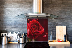 Stylish Tempered glass backsplash – Glass kitchen splashback – Glass upstand NBS14: Nature Series : Romantic red rose