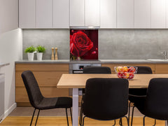 Stylish Tempered glass backsplash – Glass kitchen splashback – Glass upstand NBS14: Nature Series : Romantic red rose