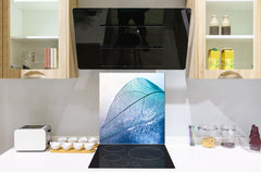 Stylish Tempered glass backsplash – Glass kitchen splashback – Glass upstand NBS14: Nature Series : Transparent blue leaf
