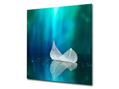 Stylish Tempered glass backsplash – Glass kitchen splashback – Glass upstand NBS14: Nature Series : Leaf on a mirror surface 2