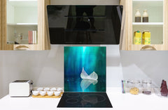Stylish Tempered glass backsplash – Glass kitchen splashback – Glass upstand NBS14: Nature Series : Leaf on a mirror surface 2