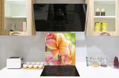 Stylish Tempered glass backsplash – Glass kitchen splashback – Glass upstand NBS14: Nature Series : Frangipani flower