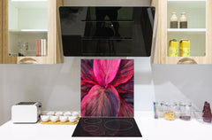 Stylish Tempered glass backsplash – Glass kitchen splashback – Glass upstand NBS14: Nature Series : Fluorescent leaves
