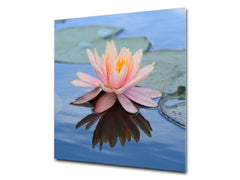 Stylish Tempered glass backsplash – Glass kitchen splashback – Glass upstand NBS14: Nature Series : Beautiful water lilly flower 1