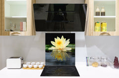 Stylish Tempered glass backsplash – Glass kitchen splashback – Glass upstand NBS14: Nature Series : Beautiful water lilly flower 2