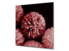 Stylish Tempered glass backsplash – Glass kitchen splashback – Glass upstand NBS14: Nature Series : Pink flower frame
