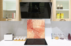 Stylish Tempered glass backsplash – Glass kitchen splashback – Glass upstand NBS14: Nature Series : Transparent orange leaves