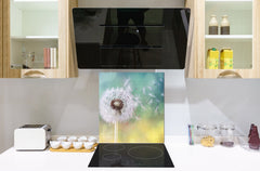 Stylish Tempered glass backsplash – Glass kitchen splashback – Glass upstand NBS14: Nature Series : Dandelion