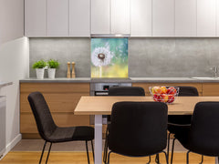 Stylish Tempered glass backsplash – Glass kitchen splashback – Glass upstand NBS14: Nature Series : Dandelion