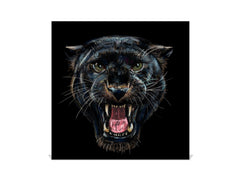 Pizarra Magnética con Armario para llaves K02 Pantera negra