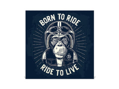 Cajetín de llaves con Pizarra de cristal K07 Monkey motorista