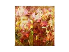 Caja de llaves de montaje en pared junto con Tablero de borrado en seco decorativo K14 Temas del mundo Orquídeas