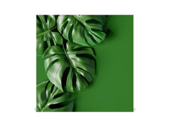 Decorative Key Organizer with Magnetic Surface Dry-Erase Board KN11 Tropical Leaves Series: Green monstera deliciosa