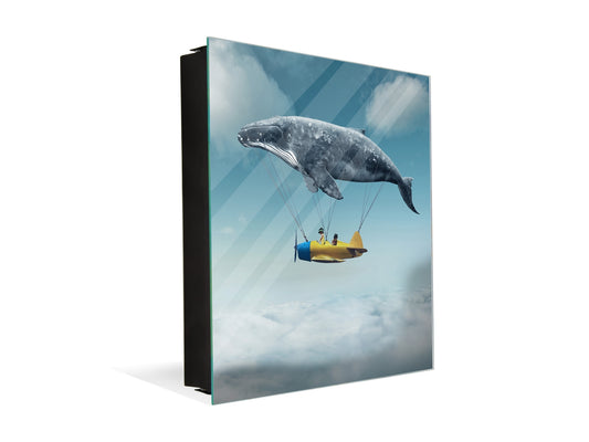 50 keys cabinet K11 Take me to the dream