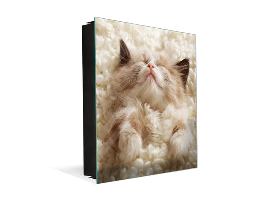 Armario de llaves con decoración a elegir K10 Pequeño gatito durmiendo