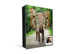 Gabinete para llaves montado en la pared K11 Elefante con alas