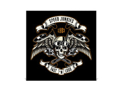 Wall Mounted Key Cabinet K03 Skull of biker