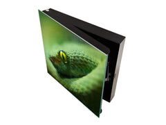 Schlüsselkasten mit Magnettafel K02 Grüne Mamba Schlange