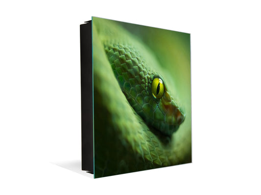 Elegante organizador de llaves - Pizarra Magnética K02 Serpiente mamba verde