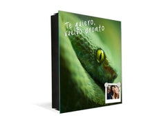 Schlüsselkasten mit Magnettafel K02 Grüne Mamba Schlange