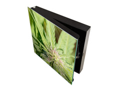 Cuadro de Llaves acabado con pintura en polvo K04 Marihuana tomando el sol