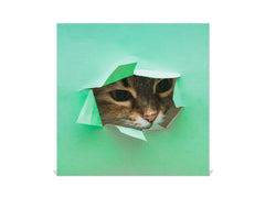 Key Organizer Cabinet and Magnetic Glass Doors K02 Fluffy cat