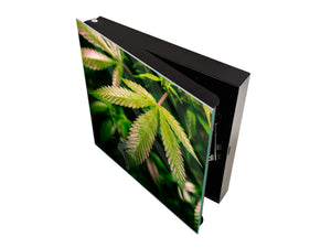 Key Storage Box K04 Magical California Cannabis