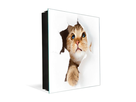 Caja para llaves con 50 ganchos K02 Gato en papel