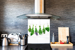 Stylish Tempered glass backsplash – Glass kitchen splashback BS01 Herbs Series: Hanging Herbs 1