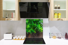 Stylish Tempered glass backsplash – Glass kitchen splashback BS01 Herbs Series: Herbs Spices 10