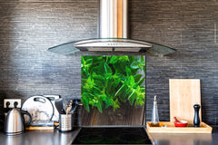 Stylish Tempered glass backsplash – Glass kitchen splashback BS01 Herbs Series: Herbs Spices 10
