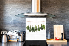 Stylish Tempered glass backsplash – Glass kitchen splashback BS01 Herbs Series: Hanging Herbs 2