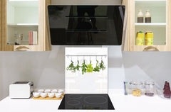 Stylish Tempered glass backsplash – Glass kitchen splashback BS01 Herbs Series: Hanging Herbs 4