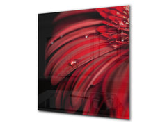 Glass kitchen backsplash – Photo backsplash BS03 Flower Series: Red Flower 1