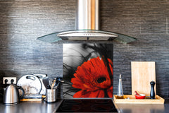 Glass kitchen backsplash – Photo backsplash BS03 Flower Series: Red Flower 6