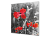 Glass kitchen backsplash – Photo backsplash BS03 Flower Series: Poppies Meadow Field