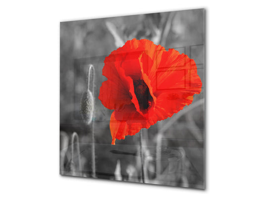 Glass kitchen backsplash – Photo backsplash BS03 Flower Series: Poppy Flower Poppy