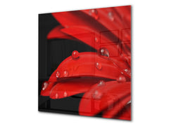 Glass kitchen backsplash – Photo backsplash BS03 Flower Series: Red Flower 8