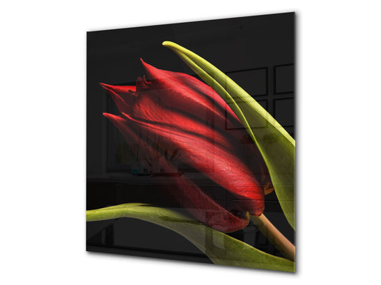 Protector antisalpicaduras baños y cocinas – BS03 Serie flores: Tulipán rojo