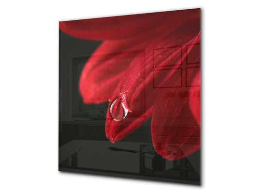 Glass kitchen backsplash – Photo backsplash BS03 Flower Series: Flower Water Drop